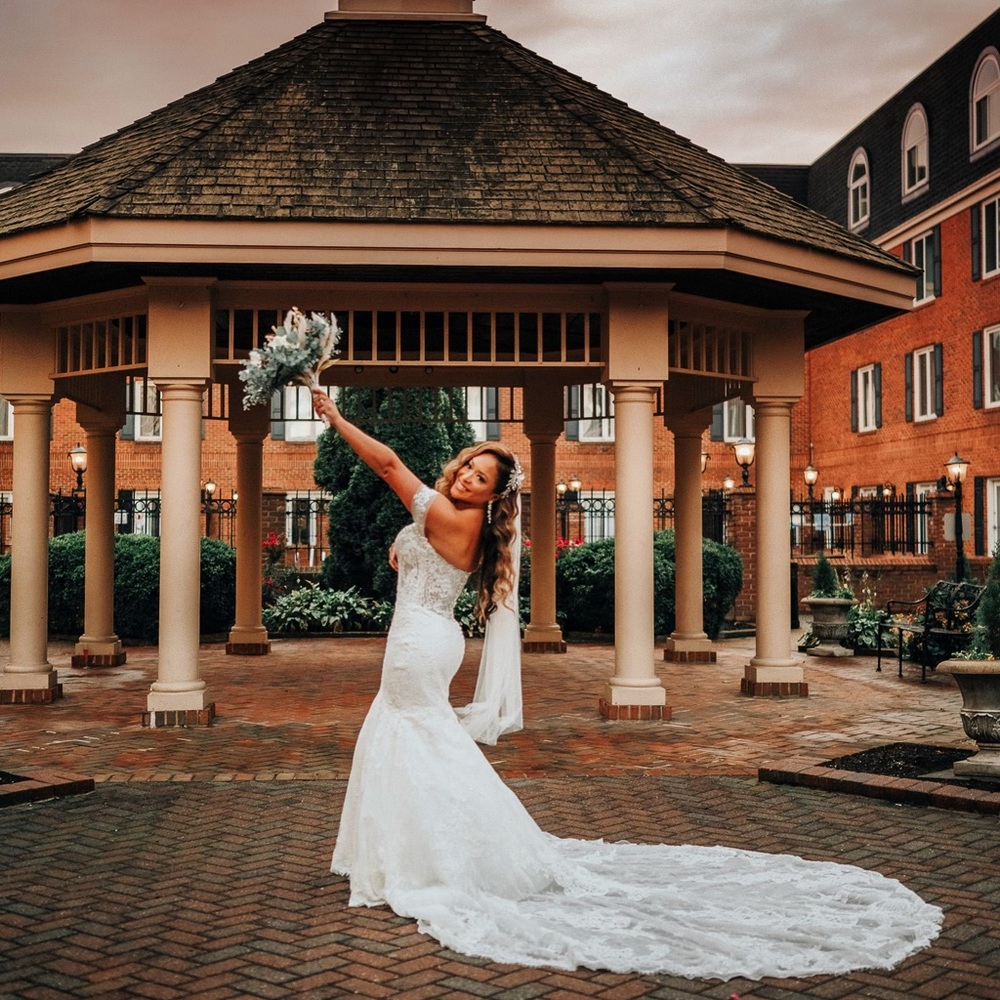 Pronovias Imelda wedding dress